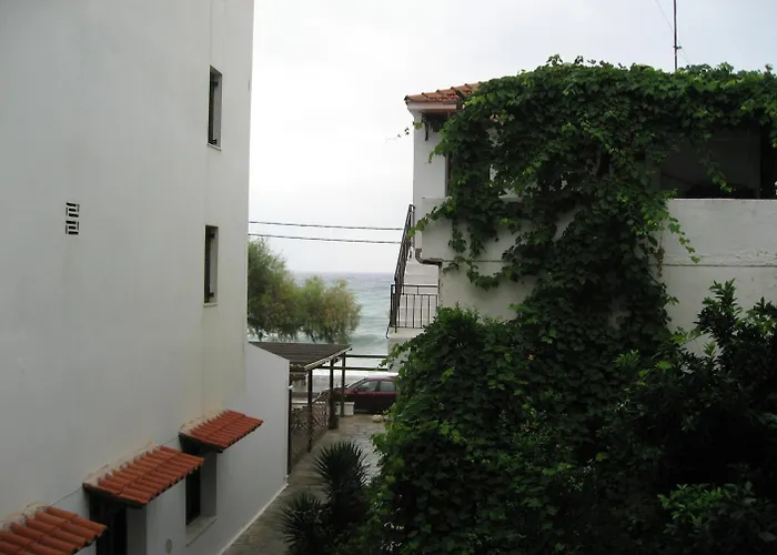 Maro Agios Ioannis (Thessaly)