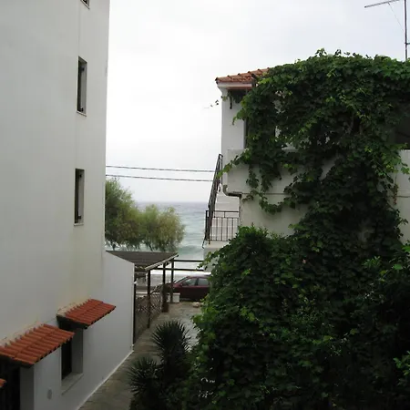 Maro Agios Ioannis (Thessaly)